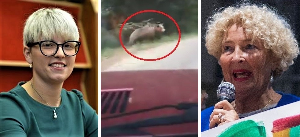 Inseguirono l’orsa e il cucciolo in auto, la Pat: “Sanzioni congrue non inaspriremo le pene per chi disturba gli animali”